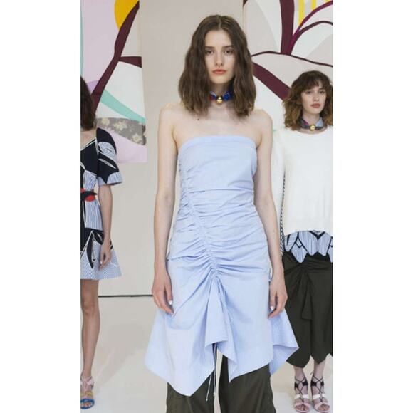 BIG SALE! Powder BLUE Dahlia Strapless Ruched Oxford Dress - Tanya Taylor - SM - Picture 3 of 9